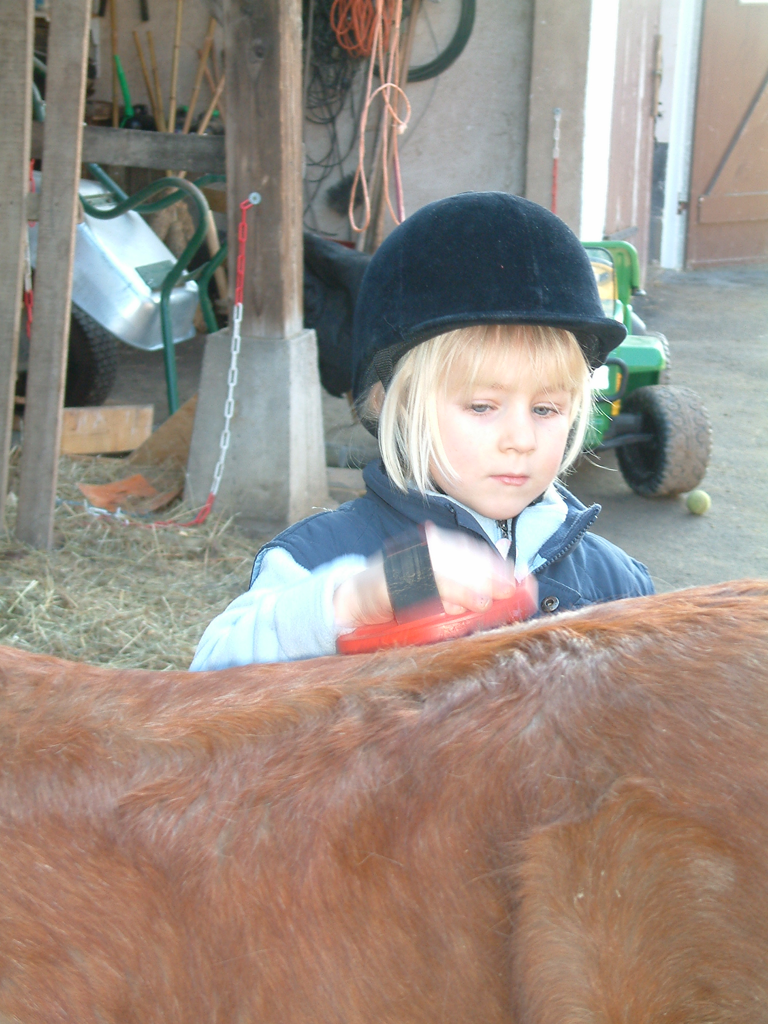 putzen